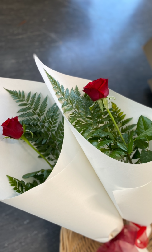 Single Red Rose
