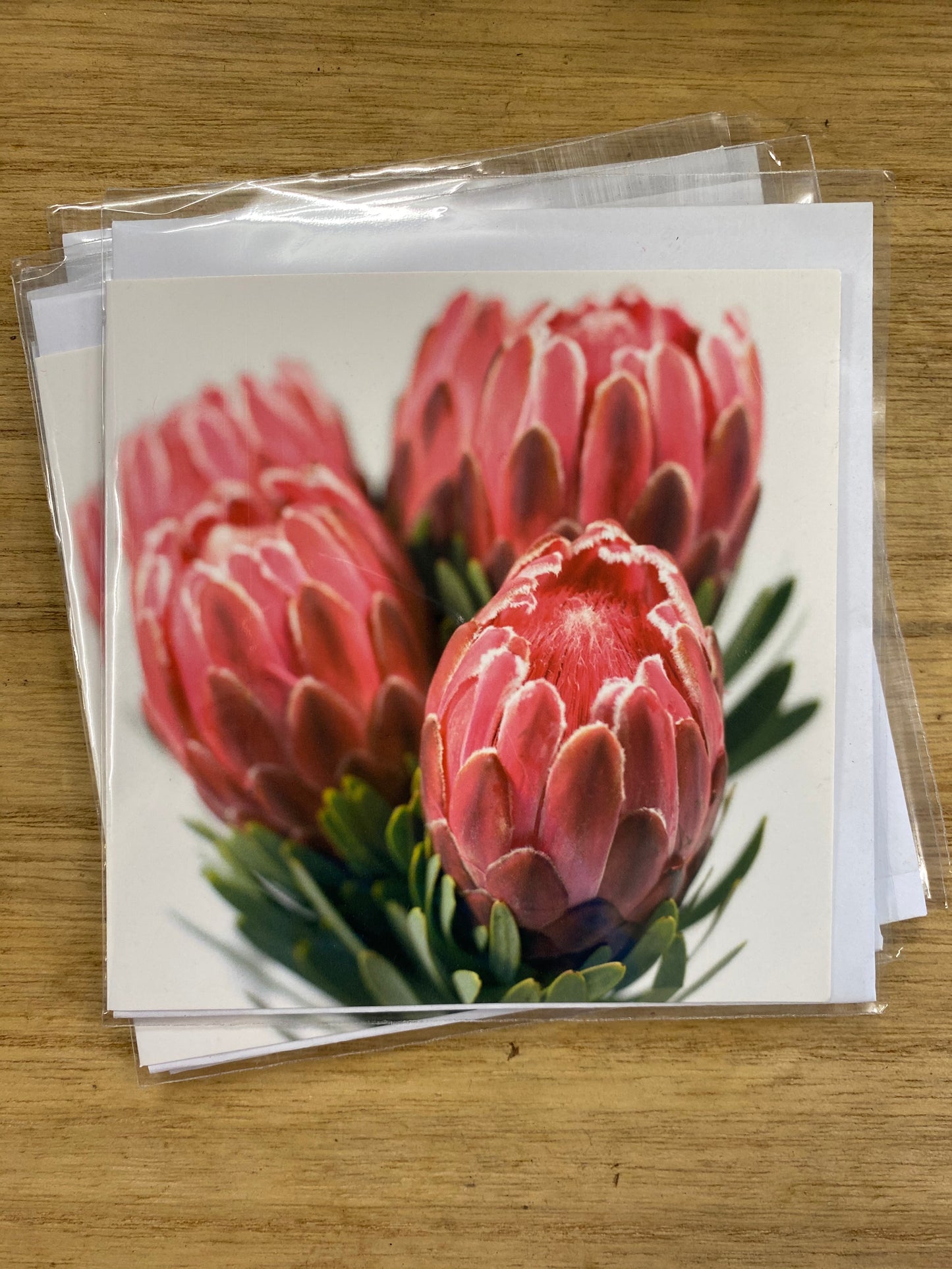 Protea Gift Card